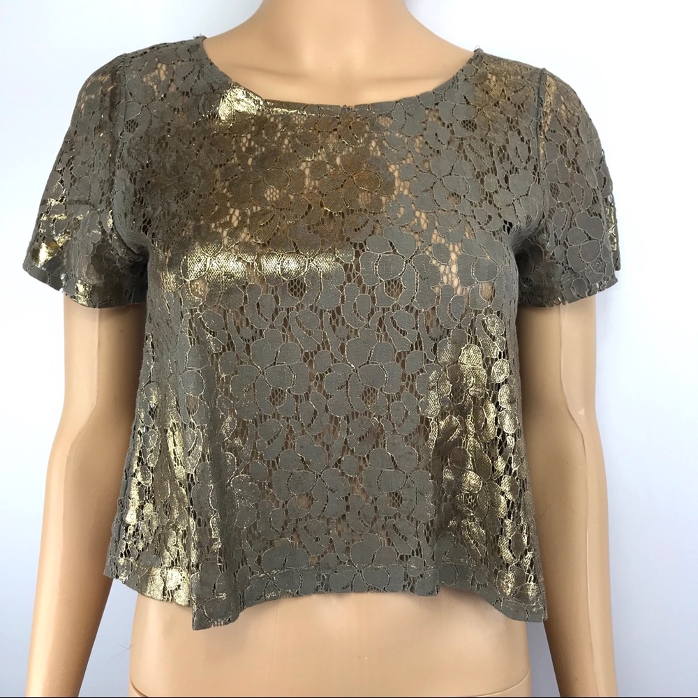 H.I.P Lace Metallic Brown Gold Crop Top Blouse S